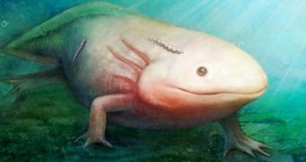Ancient parasite used to cling to salamanders, suck their blood