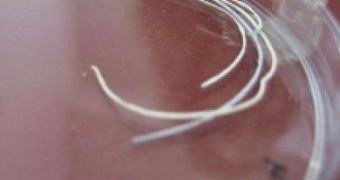Composite drug-releasing fibers that can be used as dissolvable wound dressings