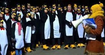 Group Dress as Penguins, Set World Record on Guinness Day