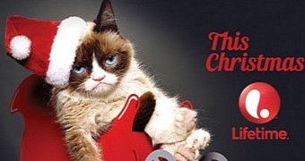 Grumpy Cat Finds Its Voice for Lifetime Movie