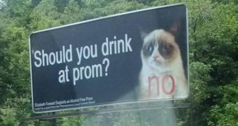 Grumpy Cat Lends Image to Campaign Against Underage Prom Drinking
