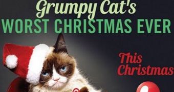 Grumpy Cat is going to star in her very own Christmas movie