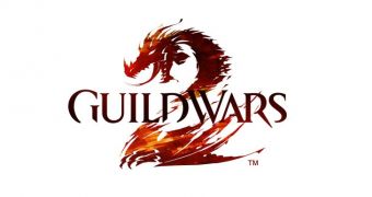 Guild Wars 2 is out later this year