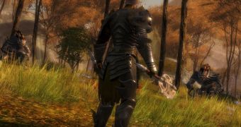 Guild Wars 2 Developers Talk About Microtransactions