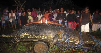 Saltwater crocodile sets new record for the species