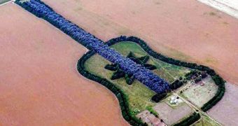 Man plants forest shaped like a guitar as tribute to his late wife