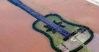 Guitar-shaped forest in Argentina's Pampas