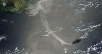 May 17 image of the Gulf of Mexico oil spill, captured using the NASA Terra satellite