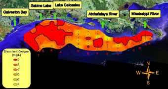 Map showing disolved oxygen in the Gulf of Mexico in 2010.