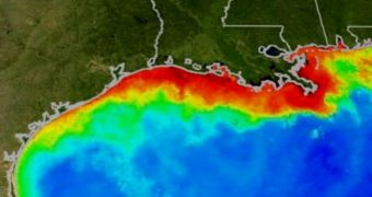 This year's Gulf of Mexico dead zone might be the most widespread on record