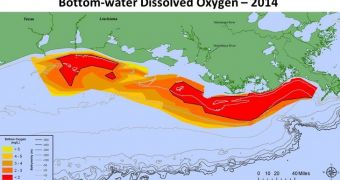 Researchers map and measure this year's dead zone in the Gulf of Mexico
