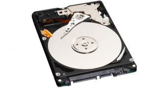 HDD Demand to Drop by 11% in Q3 2012, Western Digital Predicts