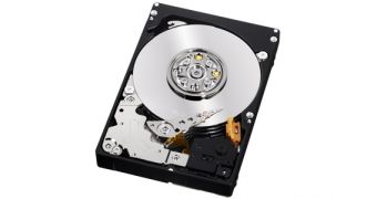 WD NAS HDD