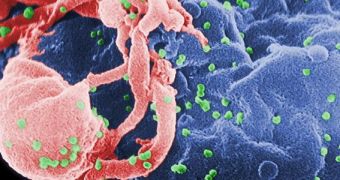 The newly-signed HOPE Act allows researchers to investigate potential transplants between HIV patients