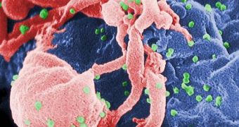 HIV mutates rapidly inside the human body, but some of the new strains are recognized by cells in the immune system