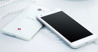 White HTC DLX