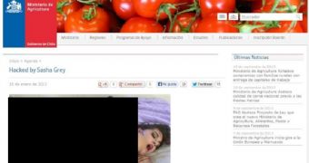 Chile Ministry of Agriculture defaced with adult video