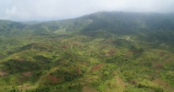 Haiti wishes to double its forest cover by 2016