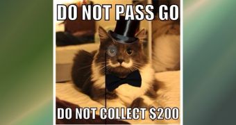 Hamilton the hipster cat looks dapper with a monocle