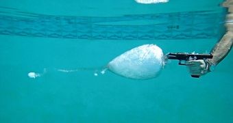 Handgun Shot Underwater Makes a Splash on YouTube