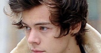 Harry Styles is reportedly dating Kimberly Stewart now