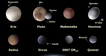 Comparison of the eight largest bodies in the Kuiper Belt