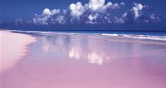 The Pink Beach