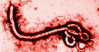 Patient in Scotland, UK, diagnosed with Ebola