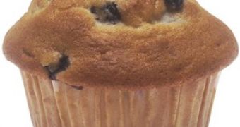 The McDonald’s low-fat blueberry muffin has more salt than a burger