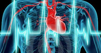 Researchers find heart cells communicate with one another