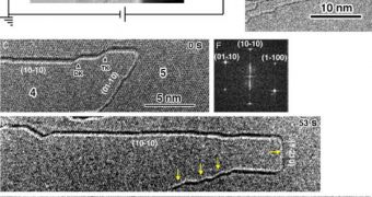 In situ TEM images showing a graphene sublimation pattern