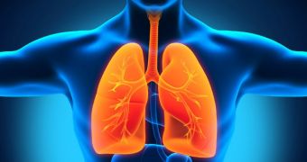 Researchers find evidence heavy drinking damages the lungs
