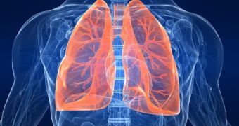 Heavy smokers and non-smokers can both safely donate their lungs to others