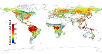 Global map of forest height produced from data collected by the GLAS, MODIS and TRMM sensors aboard the ICESat satellite