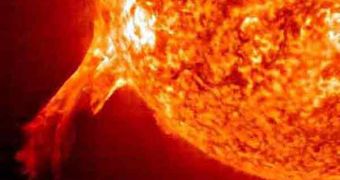 Solar flare and prominence, compared to the Earth's size