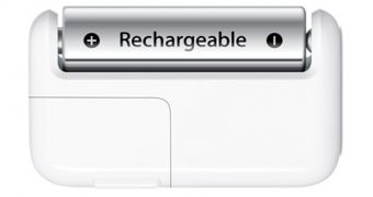 Apple battery charger