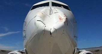 Here's What Happens When a Plane Goes Head to Head with a Bird