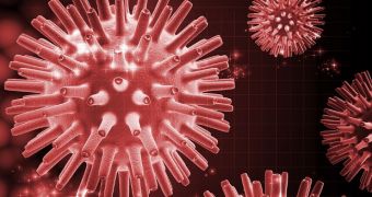 The herpes virus can be used to treat cancer, experiments show