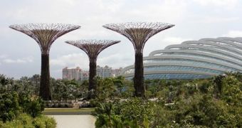 High-Tech Solar-Powered Trees Planted in Singapore