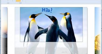 Hilo Annotator Delivered with Hilo Update