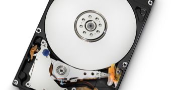 2.5-inch Hitachi Travelstar HDD delivers 500GB of storage