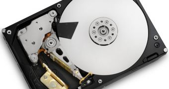 Hitachi Could Deliver 5TB HDDs in the Next 12 Months