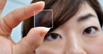 Hitachi Invents Glass That Can Store Data Forever