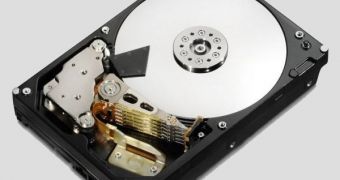 Hitachi Officially Launches Deskstar and the Hitachi XL Desk 3TB HDDs