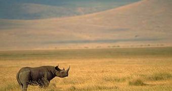 Kenya offers exquisite sights and the chance to see rare species in their natural environment