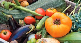 Home Grown Vegetables Found to Be Contaminated