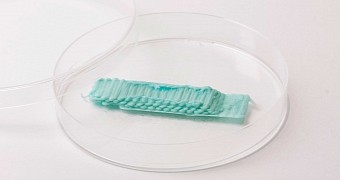 3D printed chewing gum