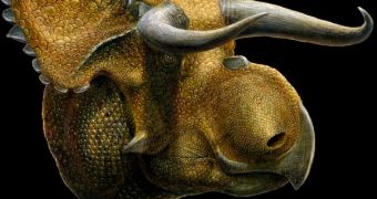 Paleontologists document new dinosaur species