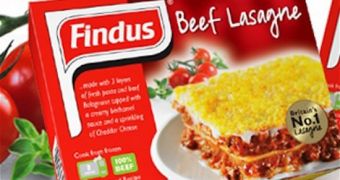 Findus lasagna marketed in Great Britain tests positive for horse meat
