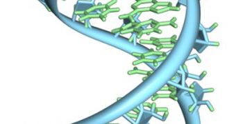 How Bacteria Repair Their RNA